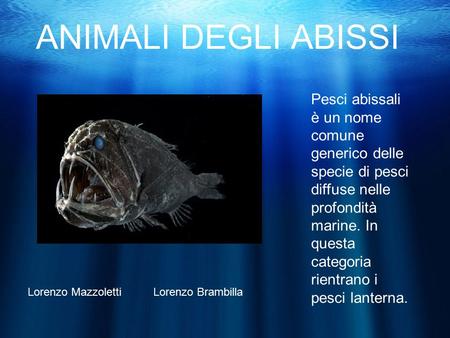 ANIMALI DEGLI ABISSI Pesci abissali è un nome comune generico delle specie di pesci diffuse nelle profondità marine. In questa categoria rientrano i pesci.