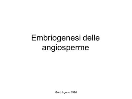 Embriogenesi delle angiosperme