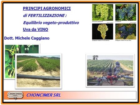 PRINCIPI AGRONOMICI di FERTILIZZAZIONE : Equilibrio vegeto-produttivo