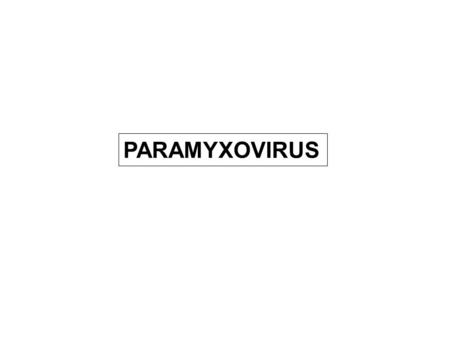 PARAMYXOVIRUS.