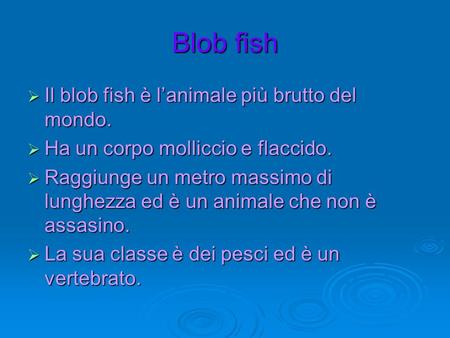 Blob fish Il blob fish è l’animale più brutto del mondo.