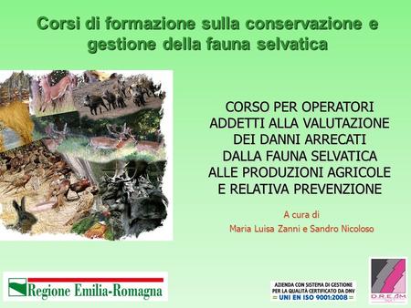 Corsi di formazione sulla conservazione e gestione della fauna selvatica A cura di Maria Luisa Zanni e Sandro Nicoloso CORSO PER OPERATORI ADDETTI ALLA.