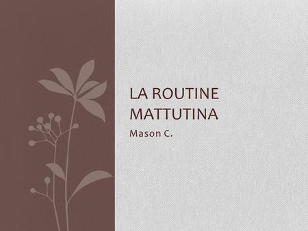 La routine mattutina Mason C..