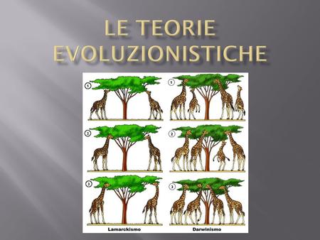 Le teorie evoluzionistiche