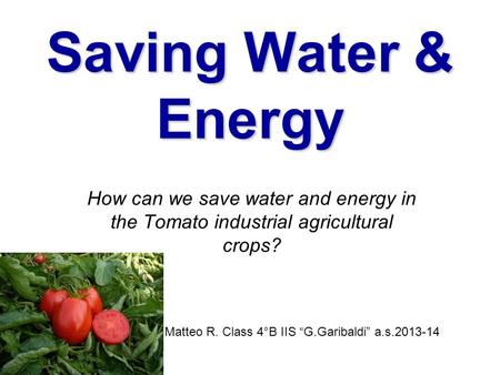 Saving Water & Energy How can we save water and energy in the Tomato industrial agricultural crops? Matteo R. Class 4°B IIS “G.Garibaldi” a.s.2013-14.