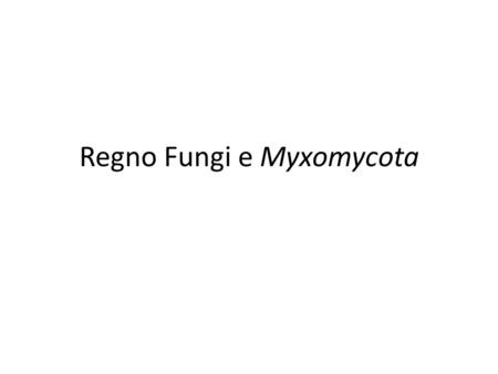 Regno Fungi e Myxomycota