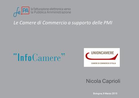 Le Camere di Commercio a supporto delle PMI Bologna, 9 Marzo 2015 Nicola Caprioli.