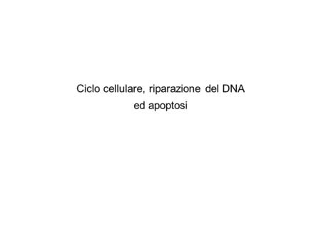 Ciclo cellulare, riparazione del DNA