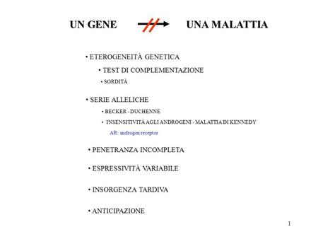 UN GENE UNA MALATTIA ETEROGENEITÀ GENETICA TEST DI COMPLEMENTAZIONE