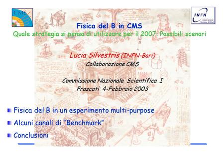 Fisica del B in CMS Quale strategia si pensa di utilizzare per il 2007: Possibili scenari Lucia Silvestris (INFN-Bari) Collaborazione CMS Commissione Nazionale.