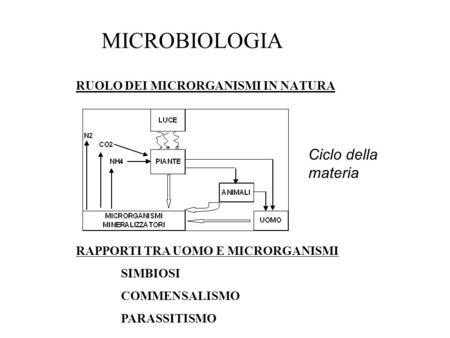 MICROBIOLOGIA Ciclo della materia RUOLO DEI MICRORGANISMI IN NATURA