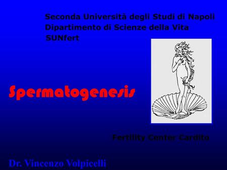 Spermatogenesis Dr. Vincenzo Volpicelli