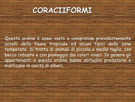 CORACIIFORMI Questo ordine è assai vasto e comprende prevalentemente uccelli della fauna tropicale ed alcuni tipici delle zone temperate. Si tratta di.