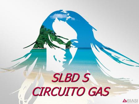 SLBD S CIRCUITO GAS.