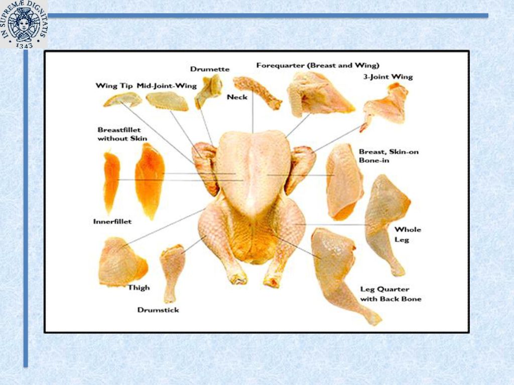 Фото Частей Курицы