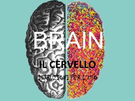 IL CERVELLO ISTRUZIONI PER L’USO