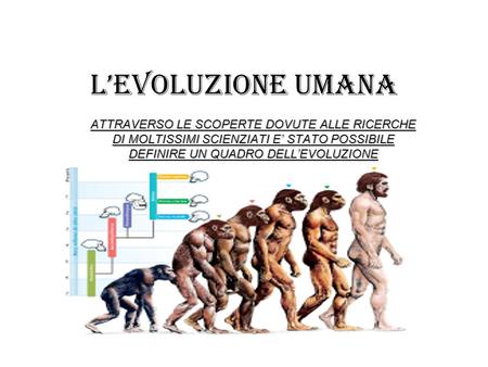 L’EVOLUZIONE UMANA ATTRAVERSO LE SCOPERTE DOVUTE ALLE RICERCHE DI MOLTISSIMI SCIENZIATI E’ STATO POSSIBILE DEFINIRE UN QUADRO DELL’EVOLUZIONE.