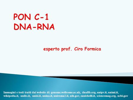esperto prof. Ciro Formica