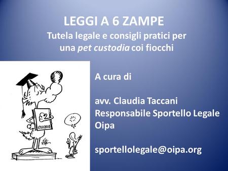 Tutela legale e consigli pratici per una pet custodia coi fiocchi