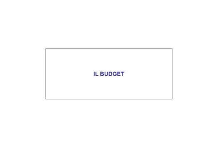 IL BUDGET.