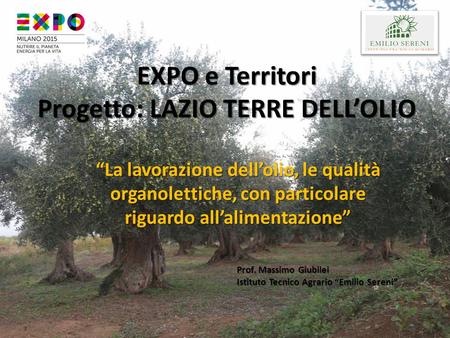 EXPO e Territori Progetto: LAZIO TERRE DELL’OLIO