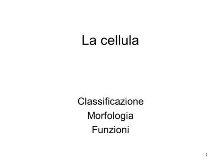Classificazione Morfologia Funzioni