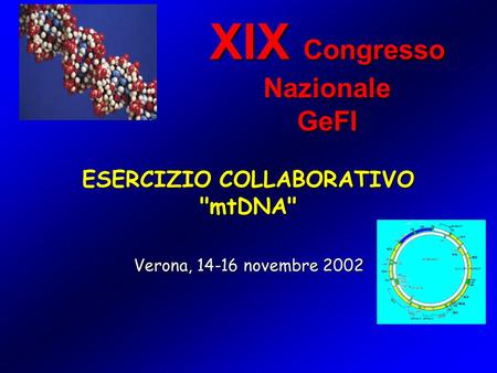 ESERCIZIO COLLABORATIVO mtDNA XIX Congresso Nazionale GeFI Verona, 14-16 novembre 2002.