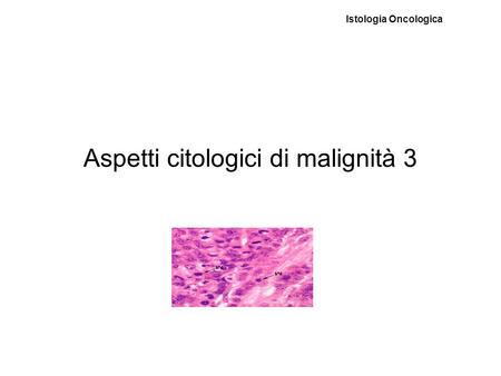 Aspetti citologici di malignità 3