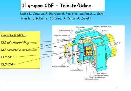 Il gruppo CDF – Trieste/Udine Udine:D. Cauz, M. P. Giordani, G. Pauletta, M. Rossi, L. Santi Trieste: S.Belforte, Casarsa, A. Penzo, A. Zanetti Contributi.