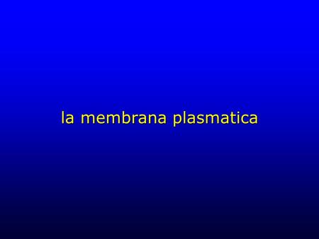 la membrana plasmatica