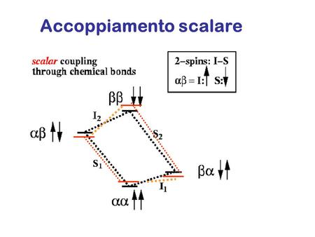 Accoppiamento scalare. 3 J H N H  2 J H  H 