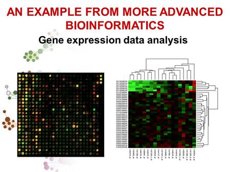 AN EXAMPLE FROM MORE ADVANCED BIOINFORMATICS Gene expression data analysis.