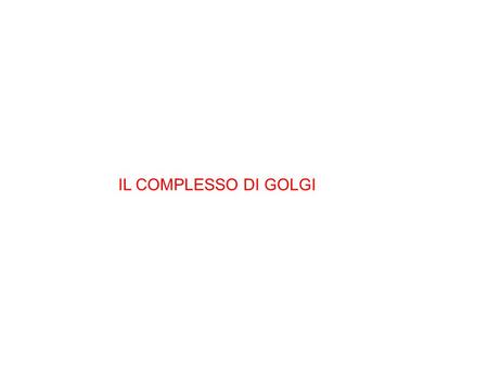 IL COMPLESSO DI GOLGI.