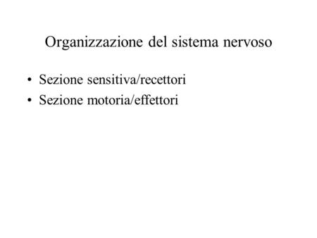 Organizzazione del sistema nervoso Sezione sensitiva/recettori Sezione motoria/effettori.