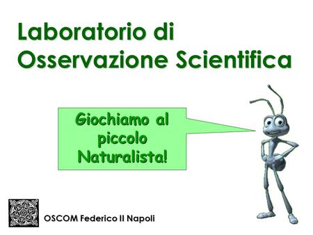 Laboratorio di Osservazione Scientifica OSCOM Federico II Napoli Giochiamo al piccolo Naturalista!