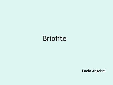 Briofite Paola Angelini.