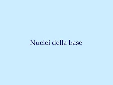 Nuclei della base.
