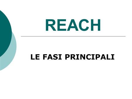 REACH LE FASI PRINCIPALI.