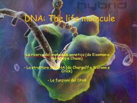 DNA: The life molecule La ricerca del materiale genetico (da Eissman a Hershey e Chase) La struttura del DNA (da Chargaff a Watson e Crick) Le funzioni.