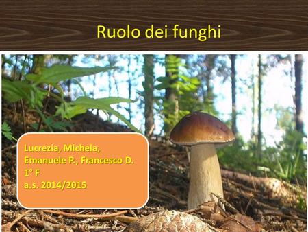 Ruolo dei funghi Lucrezia, Michela, Emanuele P., Francesco D. 1° F