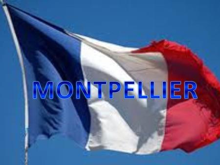 Montpellier è situata a sud della Francia, nella regione di Lanquedoc- Rousillon.
