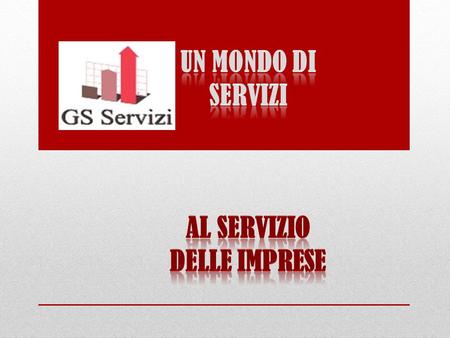 GS Servizi inizia a muovere i primi passi nel 2009 come piccolo imprenditore nel settore energetico e telecomunicazioni, e velocemente già dal 2010 instaura.