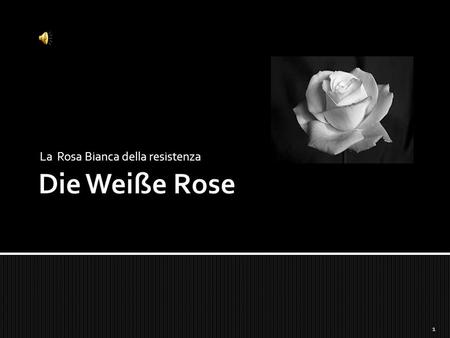 La Rosa Bianca della resistenza