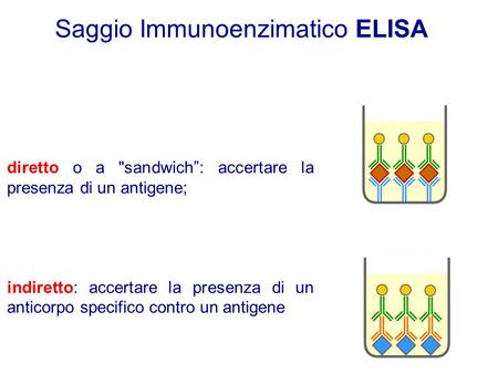 Saggio Immunoenzimatico ELISA