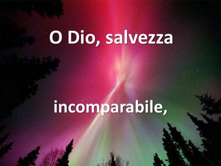 O Dio, salvezza incomparabile, io vedo che ogni cosa ha inizio dalla Tua Misericordia e,