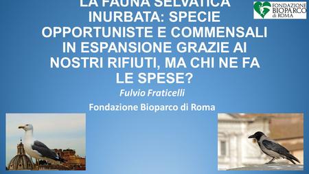 LA FAUNA SELVATICA INURBATA: SPECIE OPPORTUNISTE E COMMENSALI IN ESPANSIONE GRAZIE AI NOSTRI RIFIUTI, MA CHI NE FA LE SPESE? Fulvio Fraticelli Fondazione.