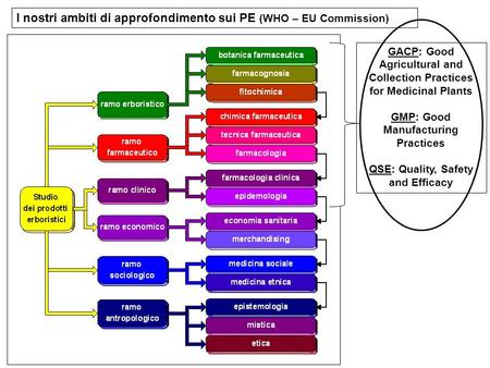 I nostri ambiti di approfondimento sui PE (WHO – EU Commission)