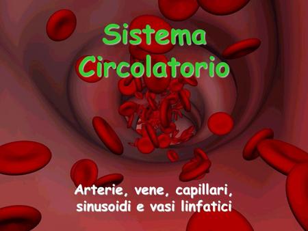 Arterie, vene, capillari, sinusoidi e vasi linfatici