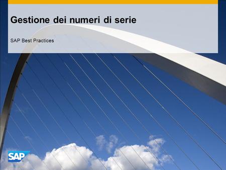 Gestione dei numeri di serie SAP Best Practices. ©2013 SAP AG. All rights reserved.2 Finalità, vantaggi e passi fondamentali del processo Finalità  Descrizione.