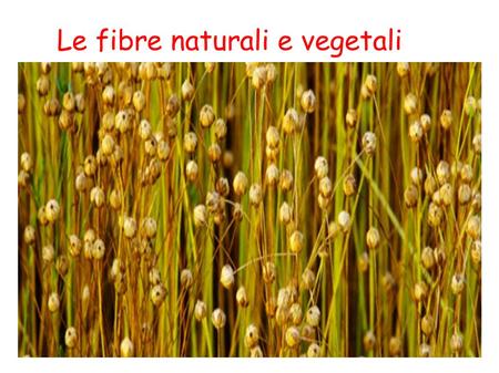 Le fibre naturali e vegetali